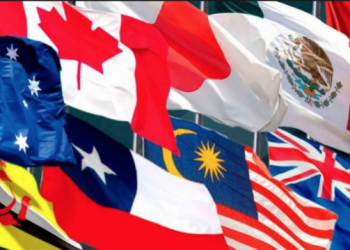 TPP11: Senado aprueba polémico tratado después de 4 años de tramitación