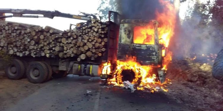 Al menos cuatro personas destruyen un camión durante ataque incendiario en la comuna de Lumaco