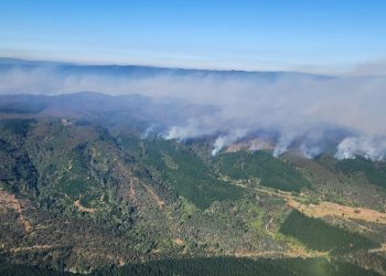 Lumaco suma segunda alerta roja en una semana por incendios forestales