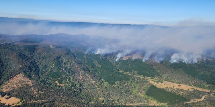Lumaco suma segunda alerta roja en una semana por incendios forestales