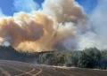 Incendio en Lumaco alcanza las 1.600 hectáreas consumidas