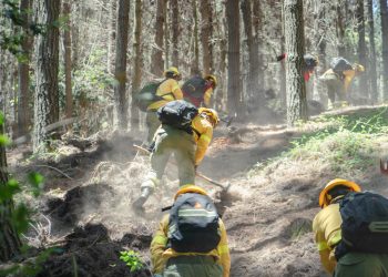 Llaman a prevenir incendios de cara a la ola de calor pronosticada desde este miércoles hasta el fin de semana