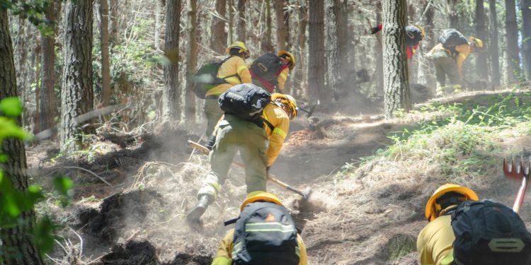 Llaman a prevenir incendios de cara a la ola de calor pronosticada desde este miércoles hasta el fin de semana