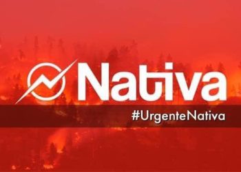 Balance Senapred y Conaf: 204 incendios forestales, 13 muertos y 771 albergados