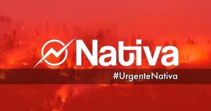 Balance Senapred y Conaf: 204 incendios forestales, 13 muertos y 771 albergados