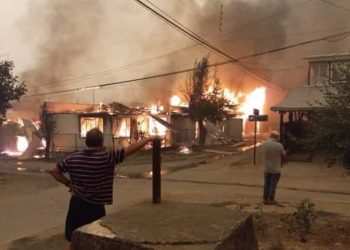 Aumentan a 14 los muertos por incendios forestales: nueva víctima es hombre de 45 años de Purén