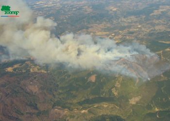 Lumaco: Declaran Alerta Roja por incendio que afecta a más de 200 hectáreas