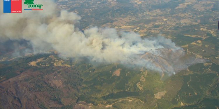 Lumaco: Declaran Alerta Roja por incendio que afecta a más de 200 hectáreas