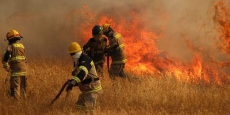 Decretan arraigo a 3 imputados de llevar bidón con combustible para hacer asado en medio de incendios